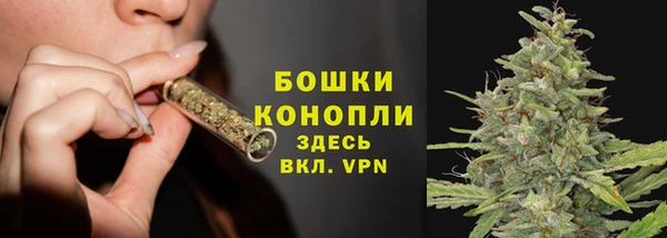 прущая мука Щигры