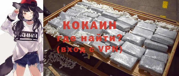 дживик Щучье