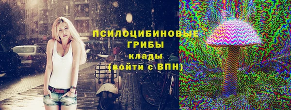прущая мука Щигры