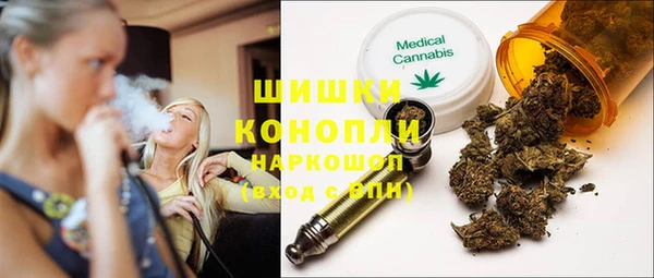 стафф Щёлкино