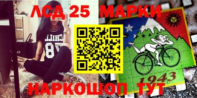 стаф Бийск