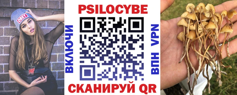 купить   Димитровград  Псилоцибиновые грибы мухоморы 