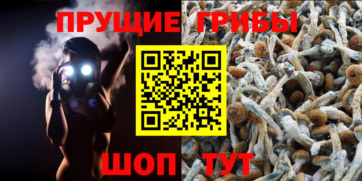 Псилоцибиновые грибы MAGIC MUSHROOMS Димитровград