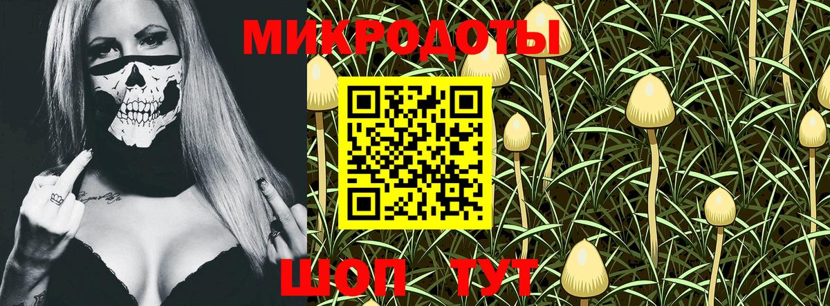 Галлюциногенные грибы Psilocybe  Вход с VPN  Димитровград 